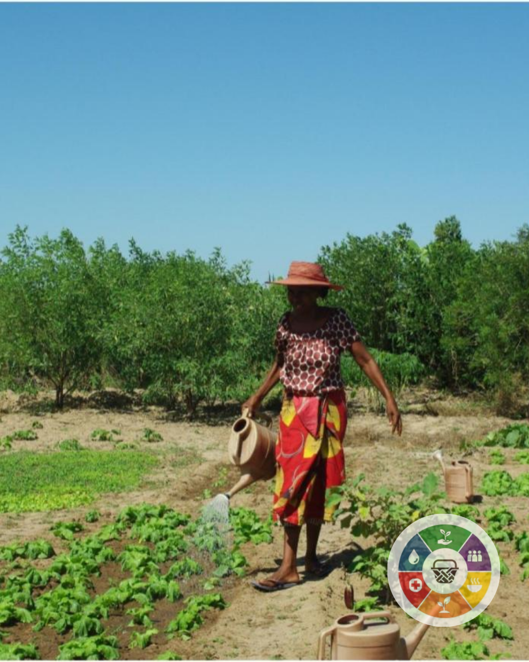 A diverse group of people engaged in discussion or a friendly collaboration.